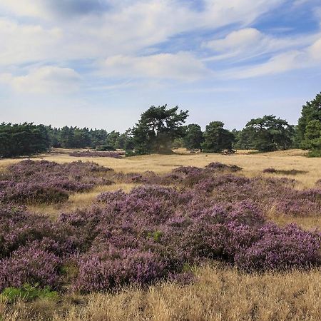 Chalet Op De Veluwe # Berk Villa Putten Eksteriør bilde