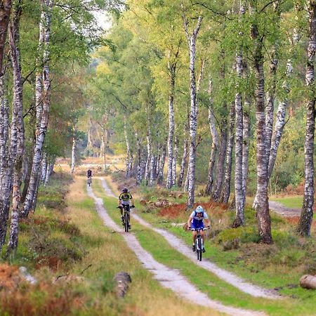 Chalet Op De Veluwe # Berk Putten Eksteriør bilde