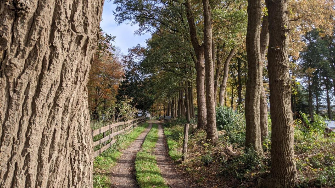 Chalet Op De Veluwe # Berk Putten Eksteriør bilde