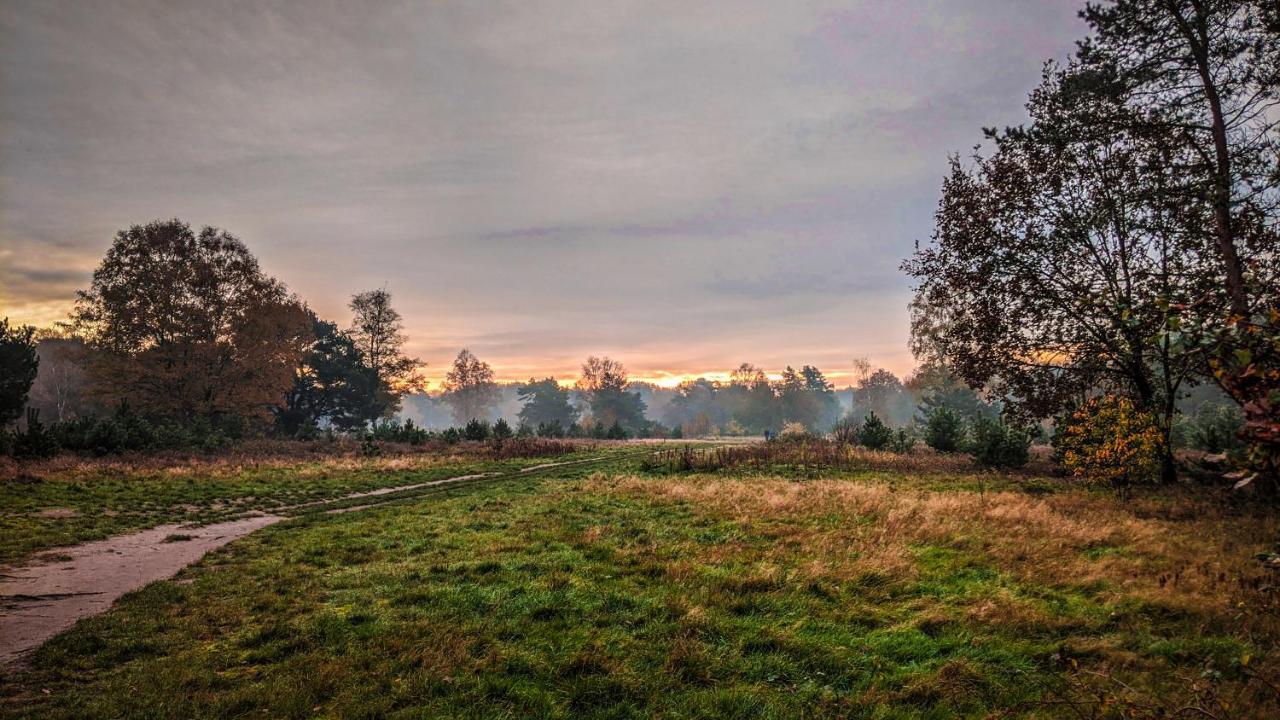 Chalet Op De Veluwe # Berk Villa Putten Eksteriør bilde