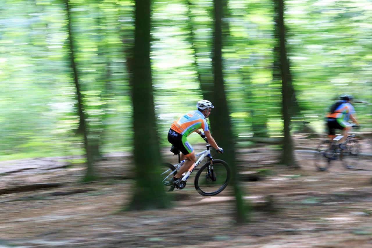 Chalet Op De Veluwe # Berk Putten Eksteriør bilde