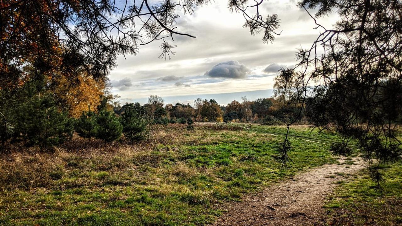 Chalet Op De Veluwe # Berk Putten Eksteriør bilde