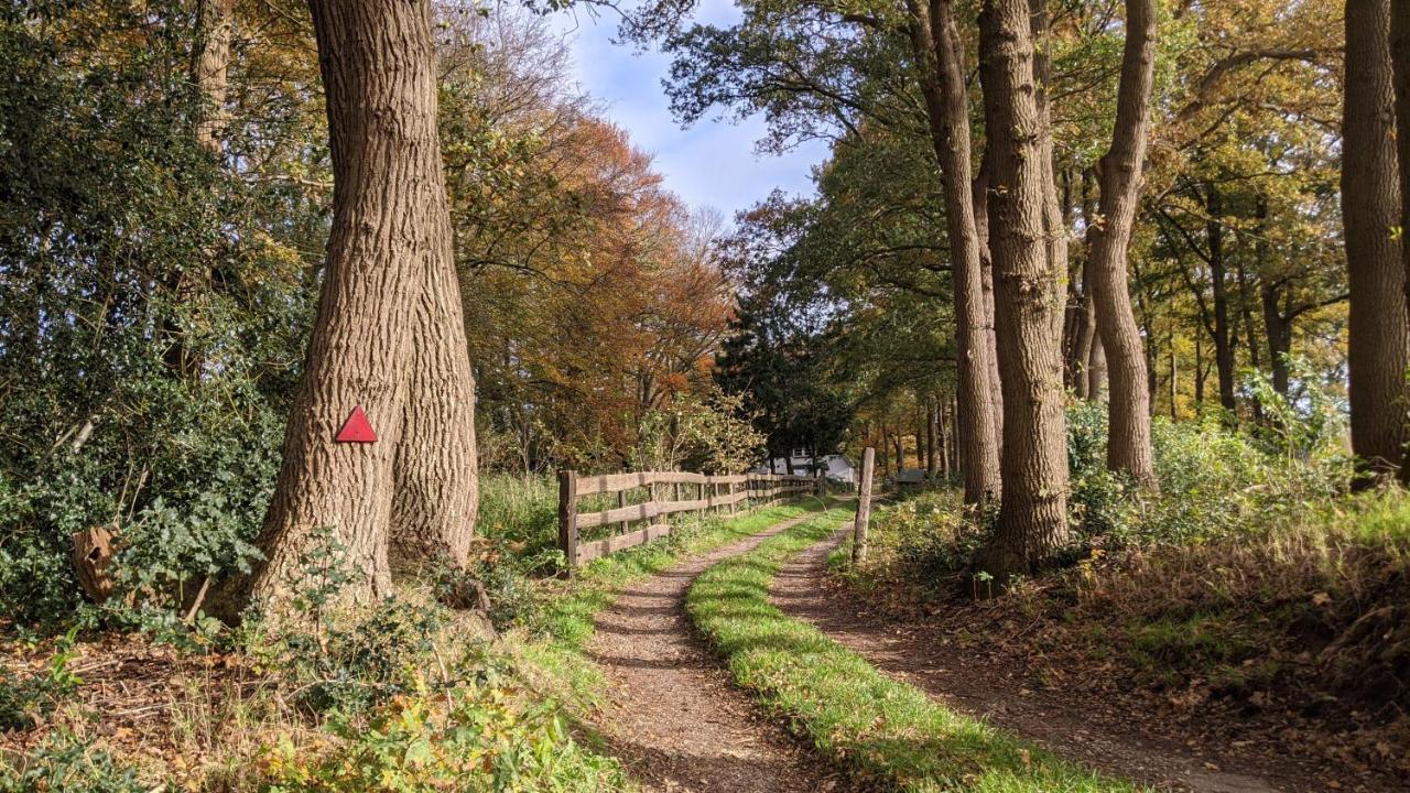 Chalet Op De Veluwe # Berk Putten Eksteriør bilde