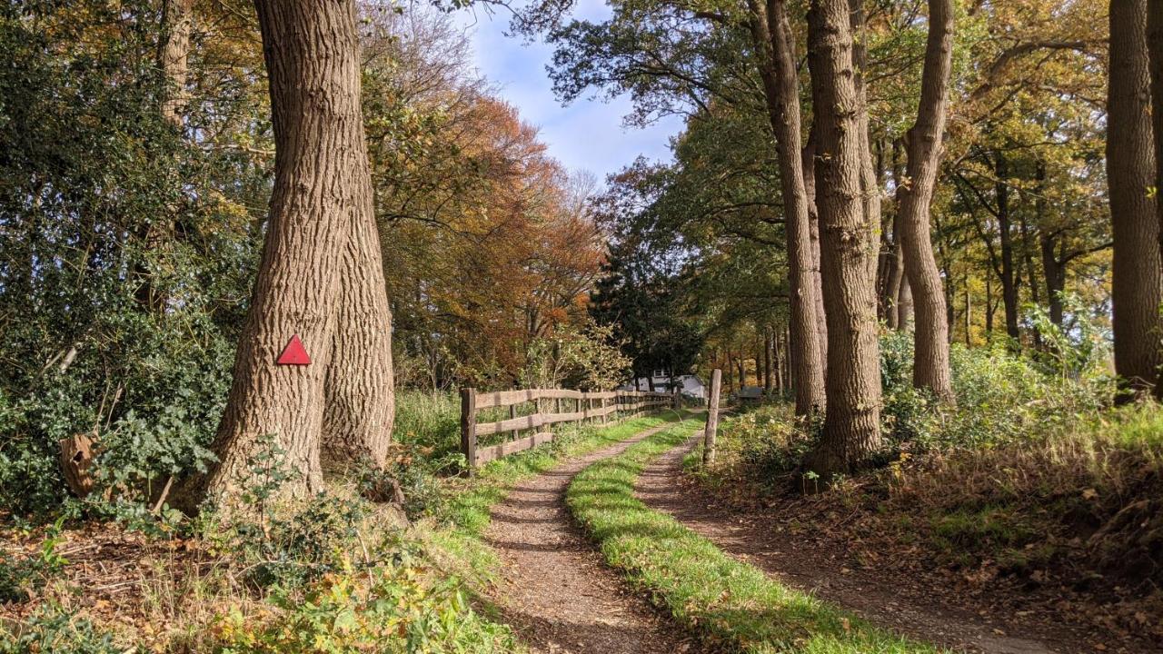 Chalet Op De Veluwe # Berk Villa Putten Eksteriør bilde